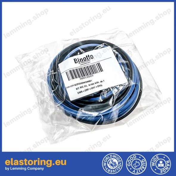 Seal kit for B DWR 145/6 [168/6]
